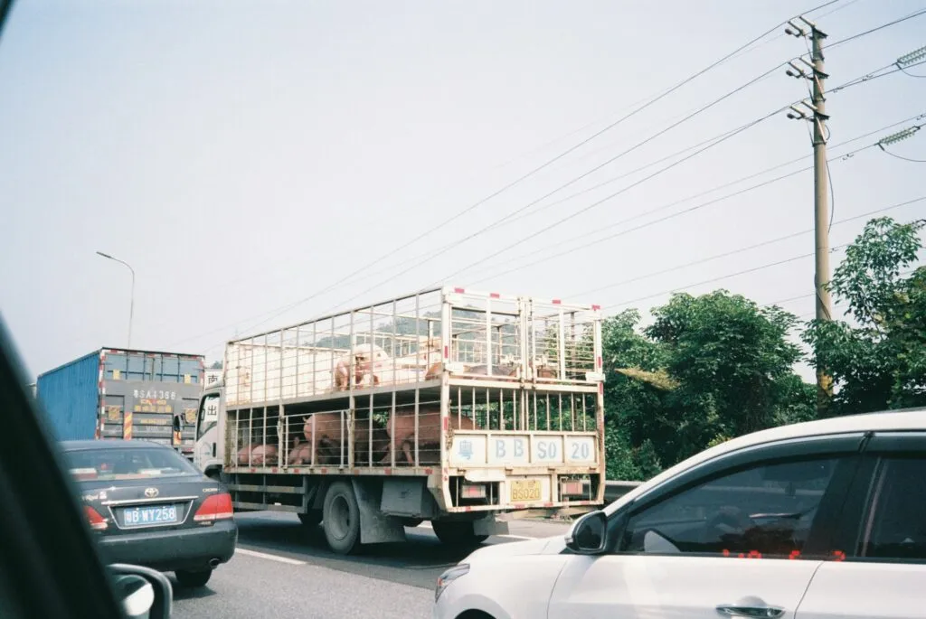 Truck in Malaysia (illustration).